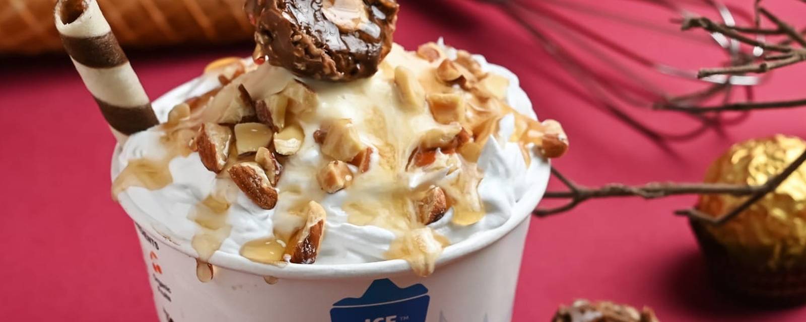 Iceberg Organic Icecreams cover